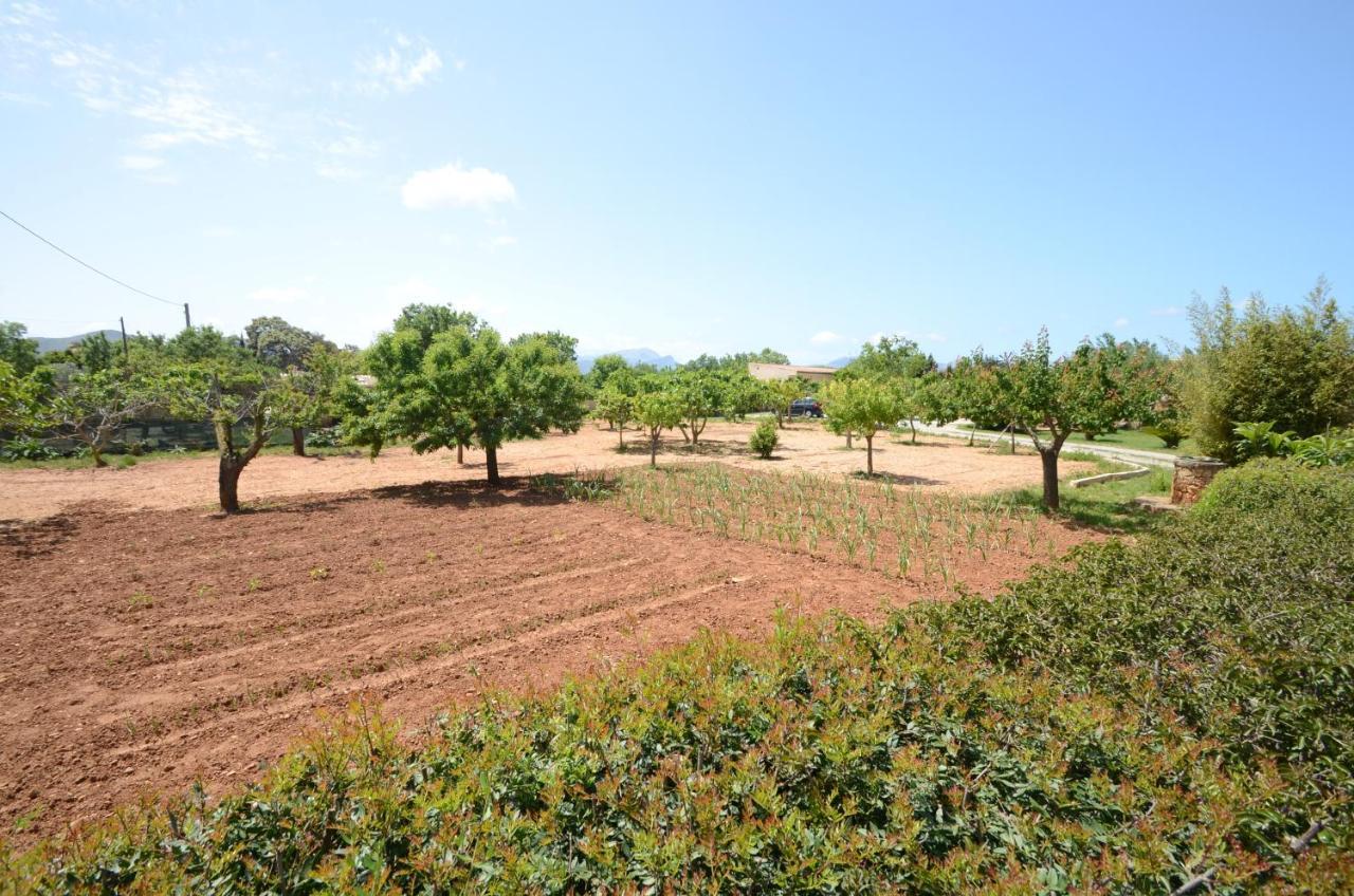 Villa Can Pau, Pool And Garden Close To The Beach ポルト・ダルクディア エクステリア 写真